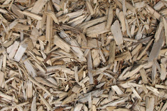 biomass boilers Maindee